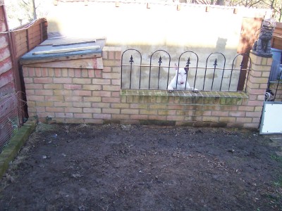 my pond 2.jpg
