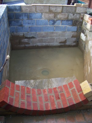 my pond 4.jpg