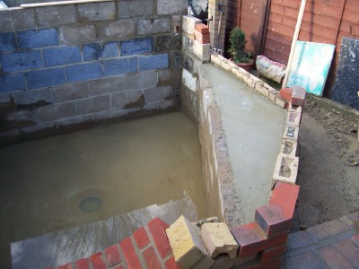 my pond 5.jpg