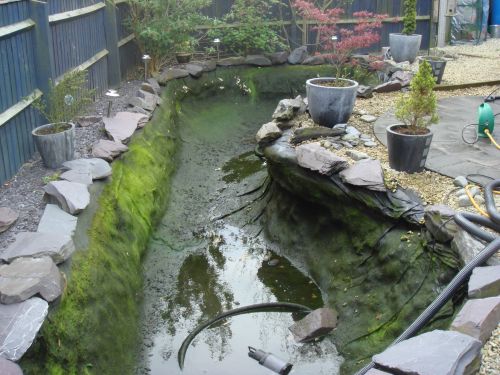 LOD POOL EMPTY.jpg