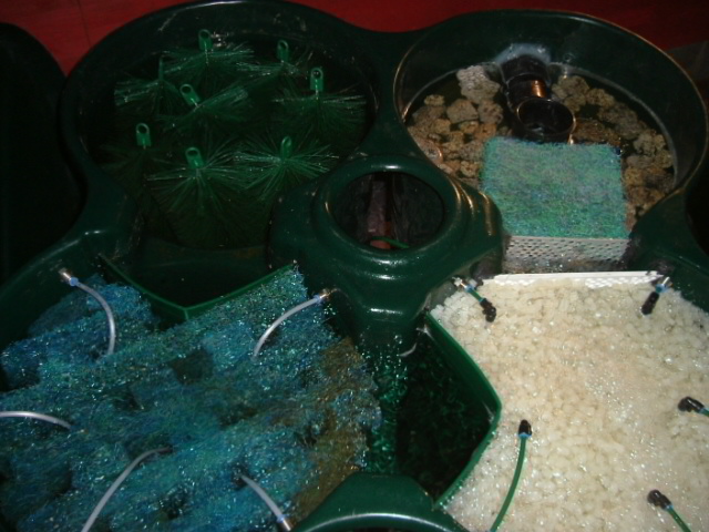DSCF5932.JPG