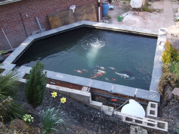 fish in 427.JPG