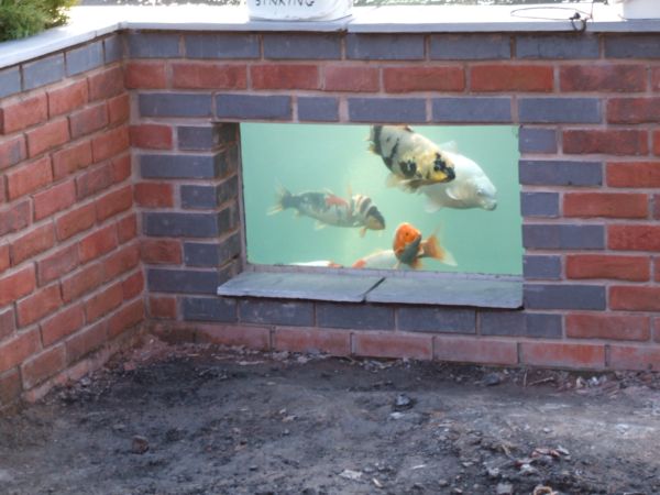 fish in 431.JPG