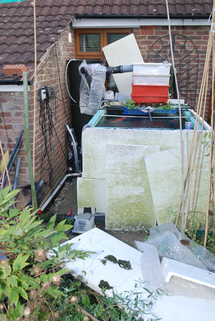 growing on upload 5a.jpg