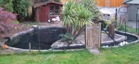 View of the pond from upstairs