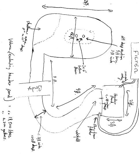 plan of the pond