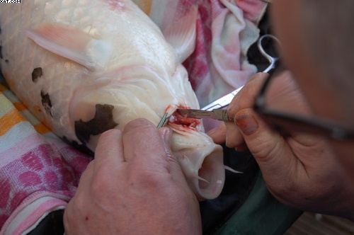 a small piece was left behind - it's an old break ... so it was also removed