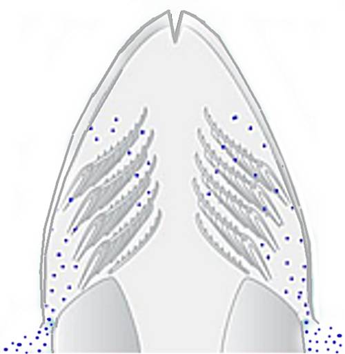 Slide5.jpg