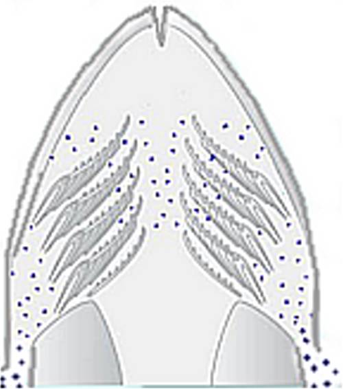 Slide4.jpg