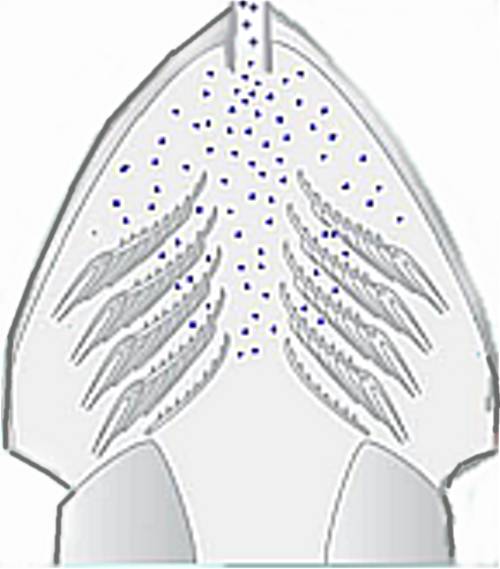 Slide3.jpg