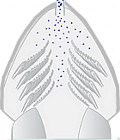 Slide2.jpg