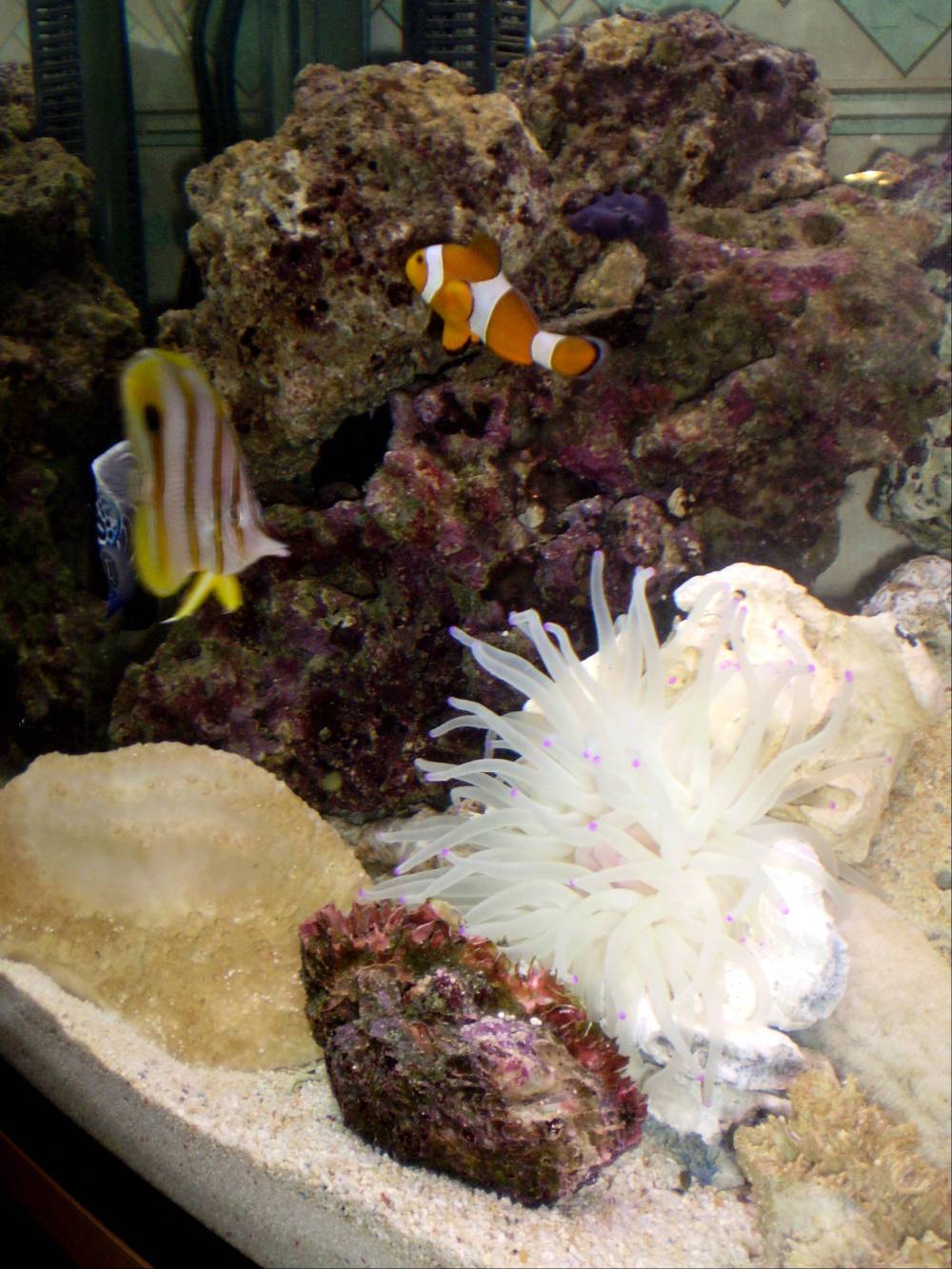fish3.jpg