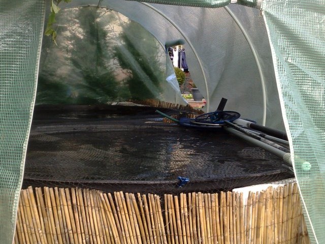 duncs polytunnel.jpg